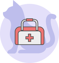   मांजरीचे निर्बीजिकरण