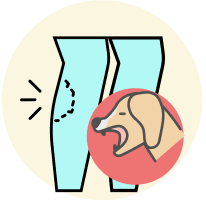 कुत्र्याचा चावा