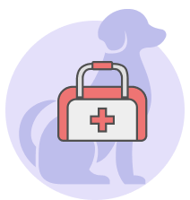 कुत्र्यांचे निर्बीजिकरण